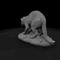 ant-191-meerkat-female — thumbnail 3