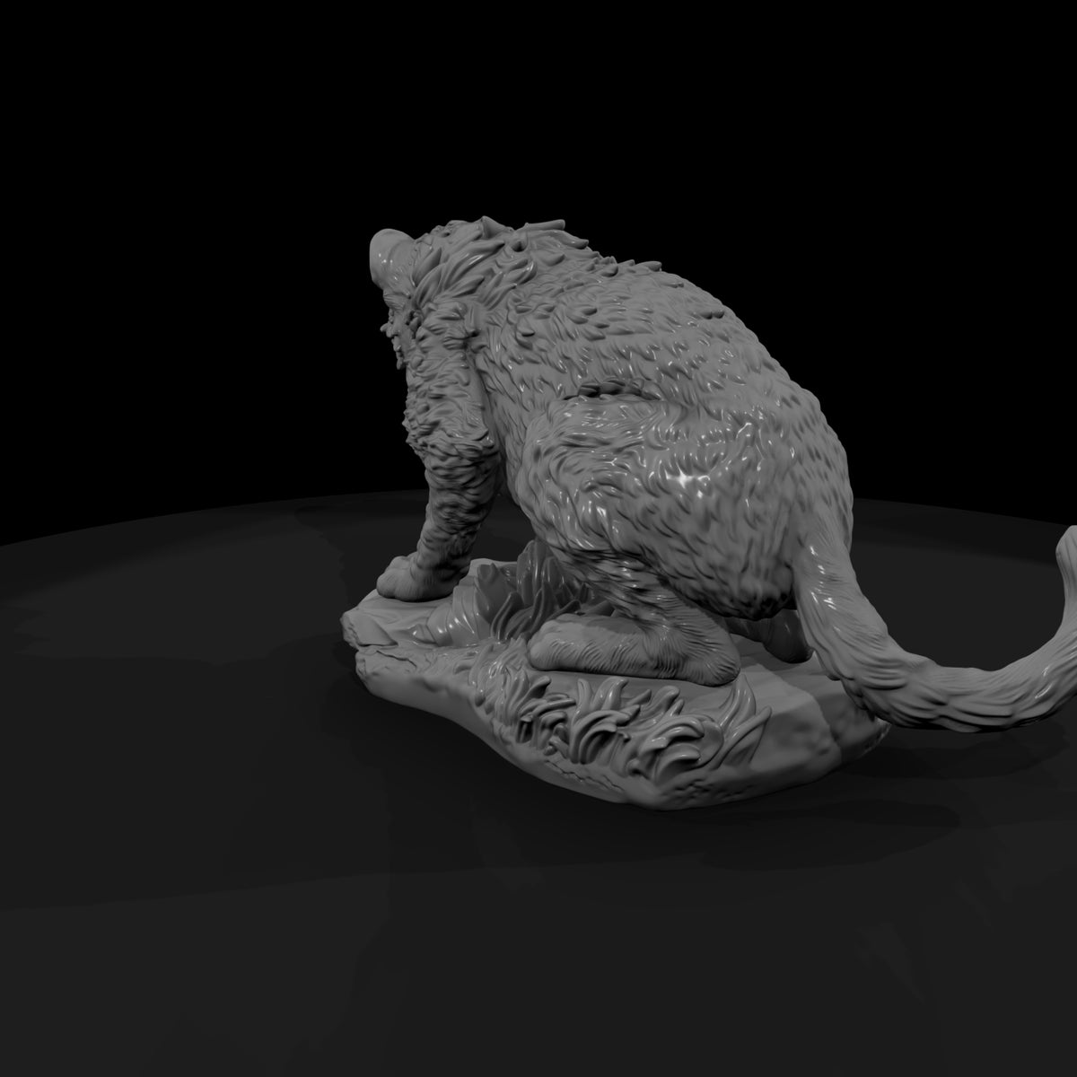 ant-012-cheetah-adolescent