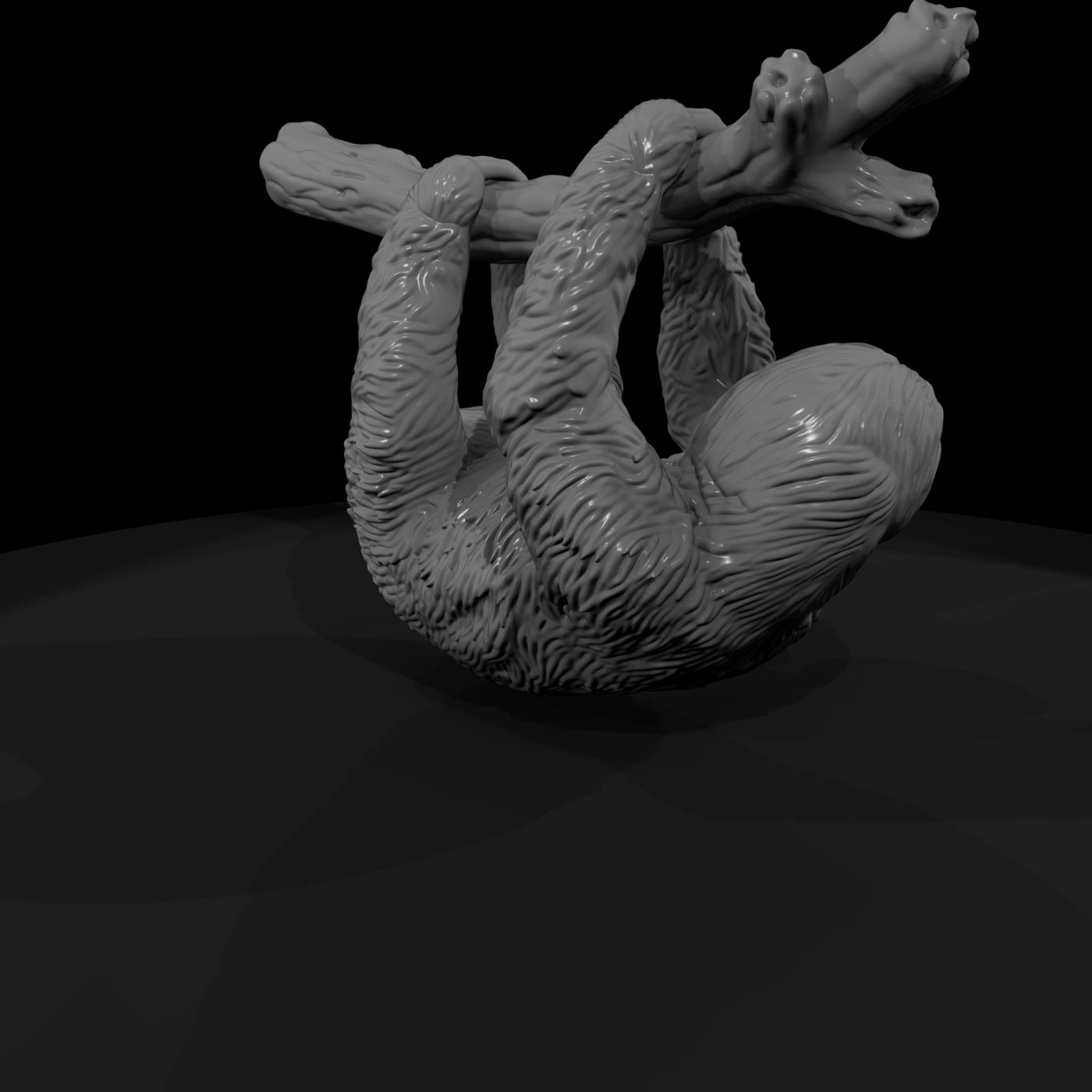 ant-202-three-toed-sloth-male