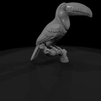 ant-286-toco-toucan-male — thumbnail 3