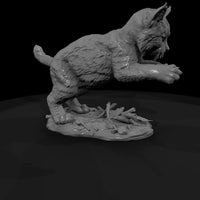 ant-162-bobcat-adolescent — thumbnail 3