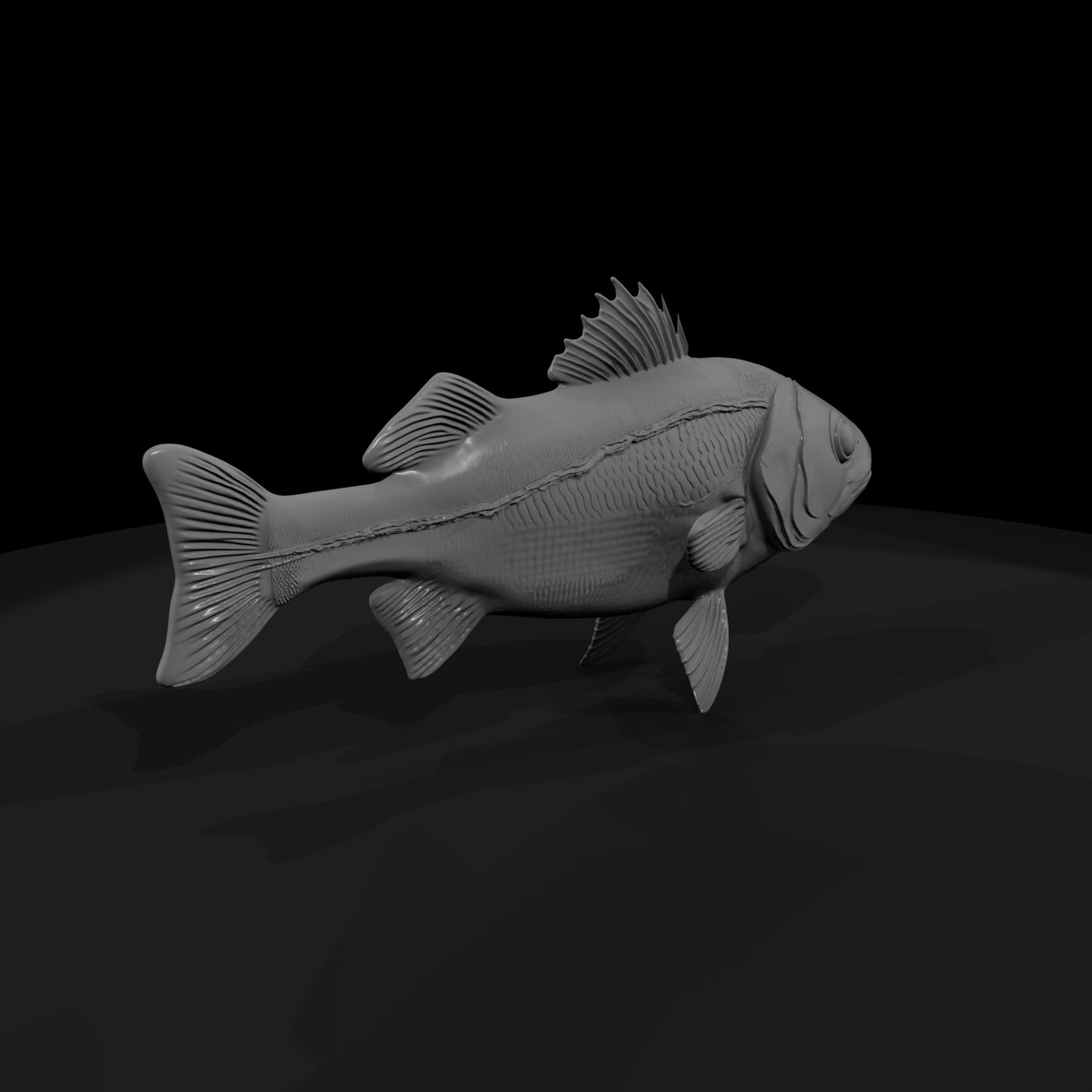 sculpted-sea-bass-miniature-for-dioramas-927053