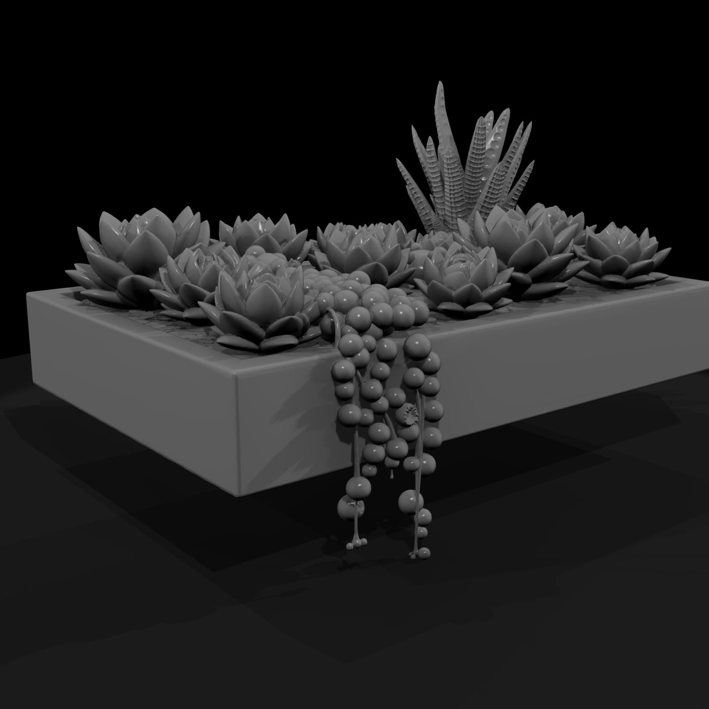 stylized-monochrome-succulent-garden-planter-phnxh