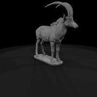 ant-232-sable-antelope-male — thumbnail 3