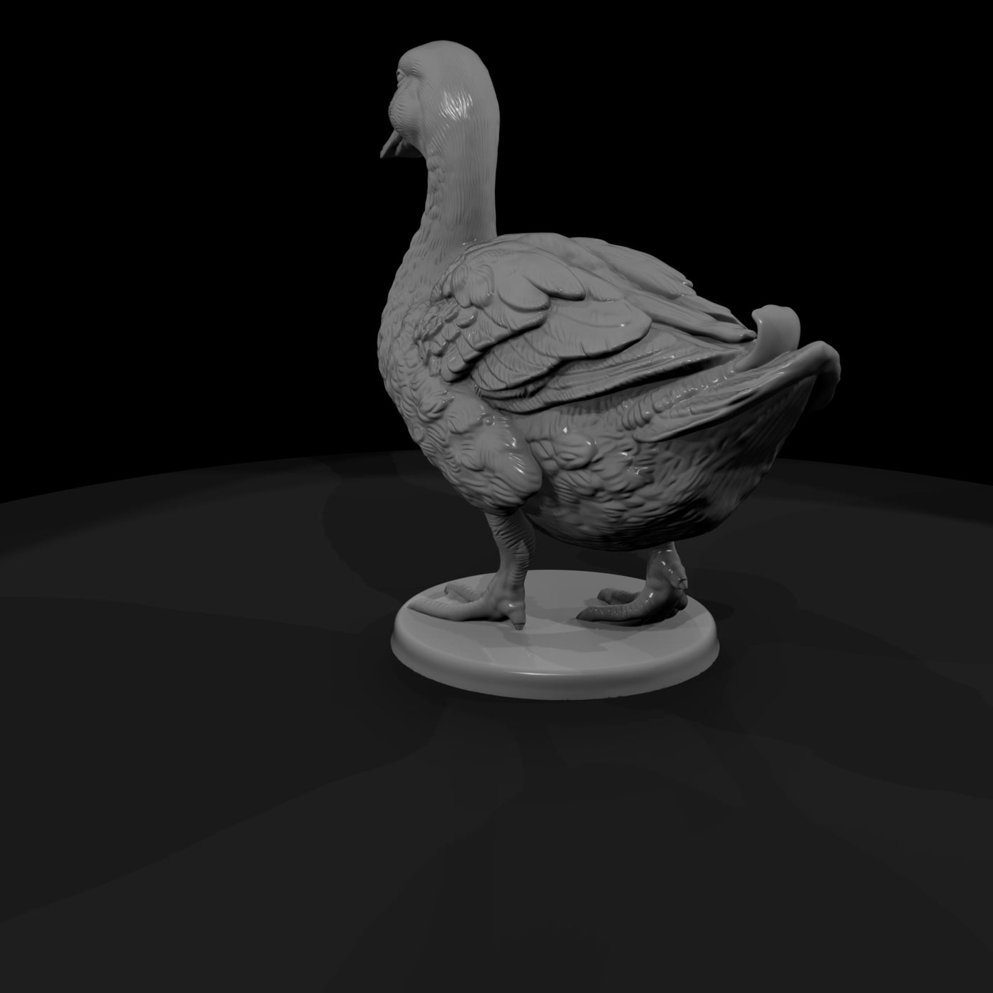 ww-0310-animal-duck