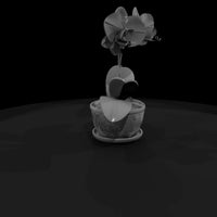 stylized-potted-moth-orchid-miniature-585965 — thumbnail 4