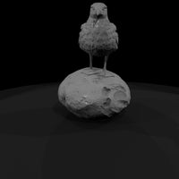 1980s-miami-beach-seagull-on — thumbnail 5