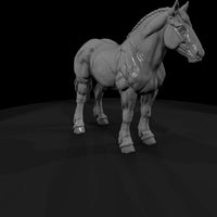 ww-0280-animal-draft-horse — thumbnail 3