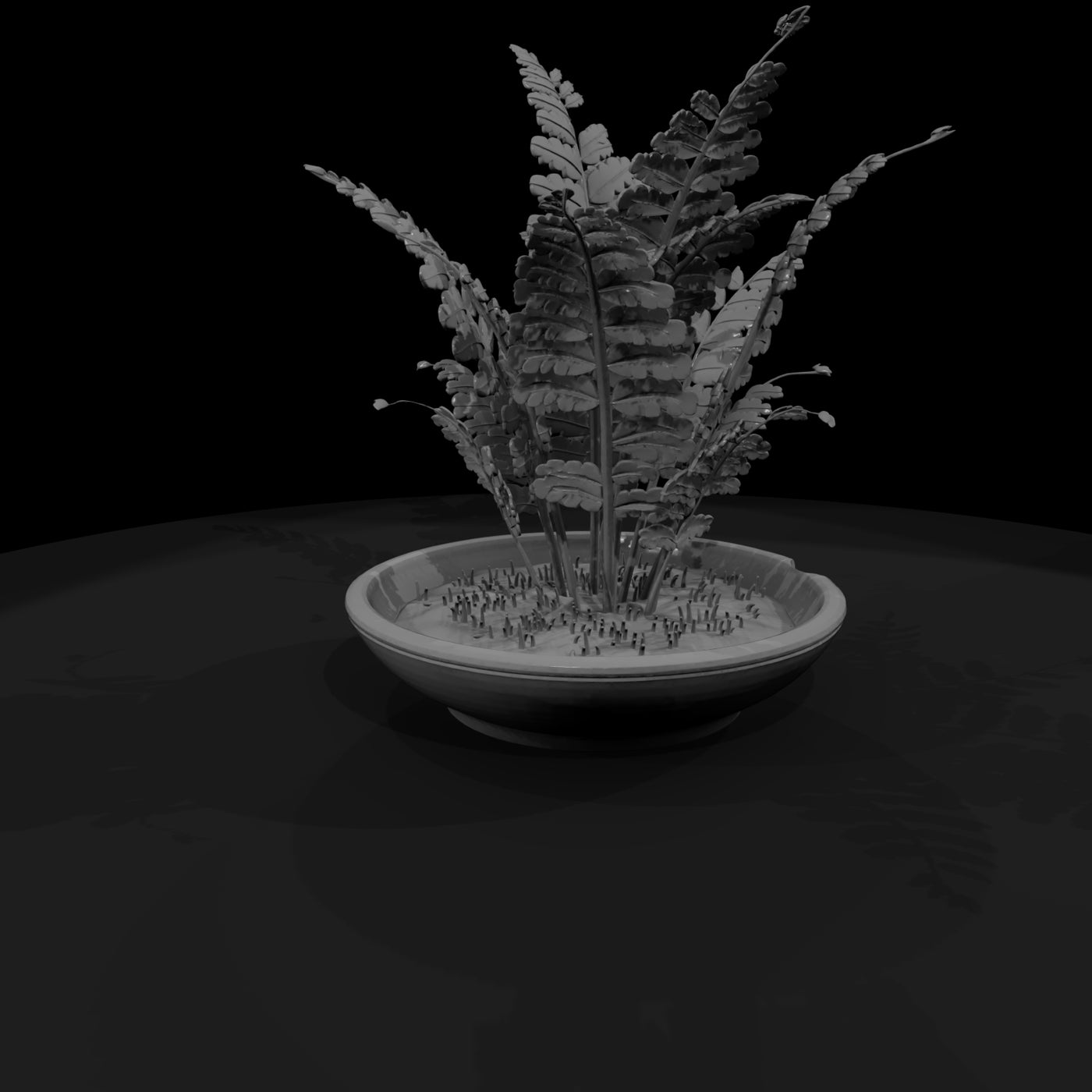 stylized-monochrome-potted-fern-3d-model-1qq57jce