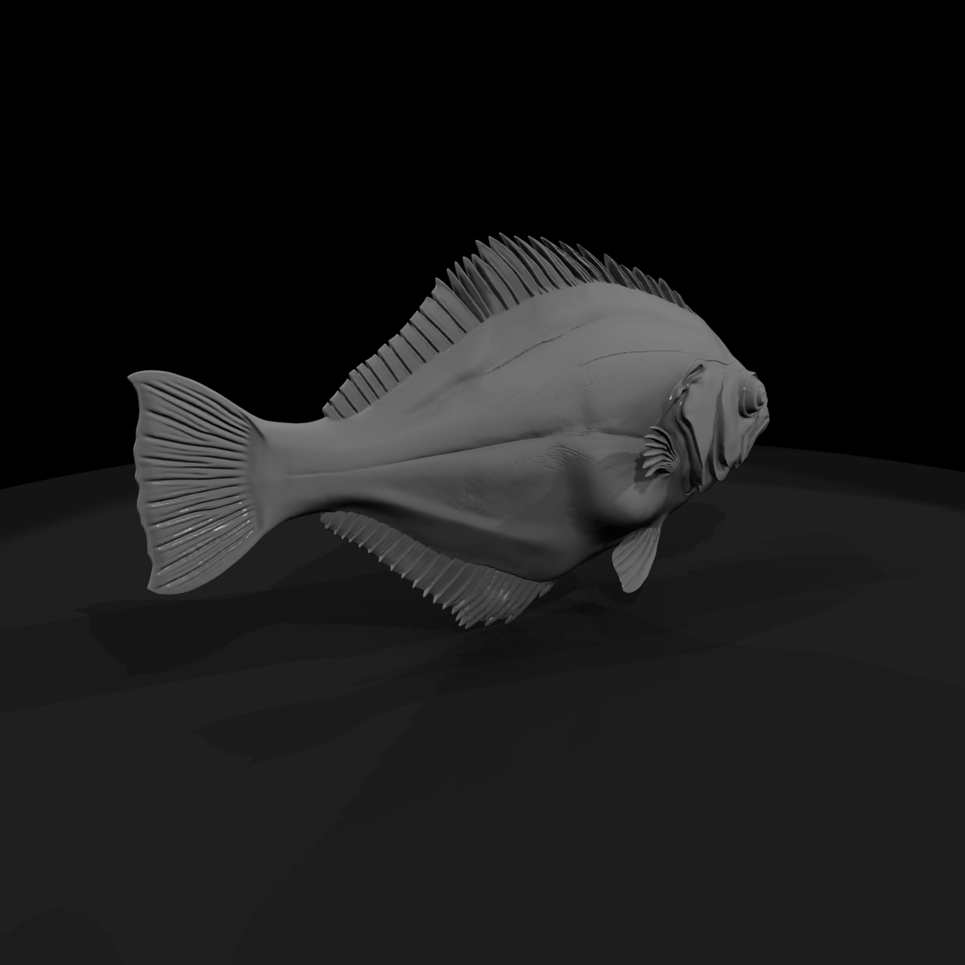 Sculpted Flounder & Coastal Displays