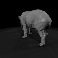 ant-253-malayan-tapir-male — thumbnail 3