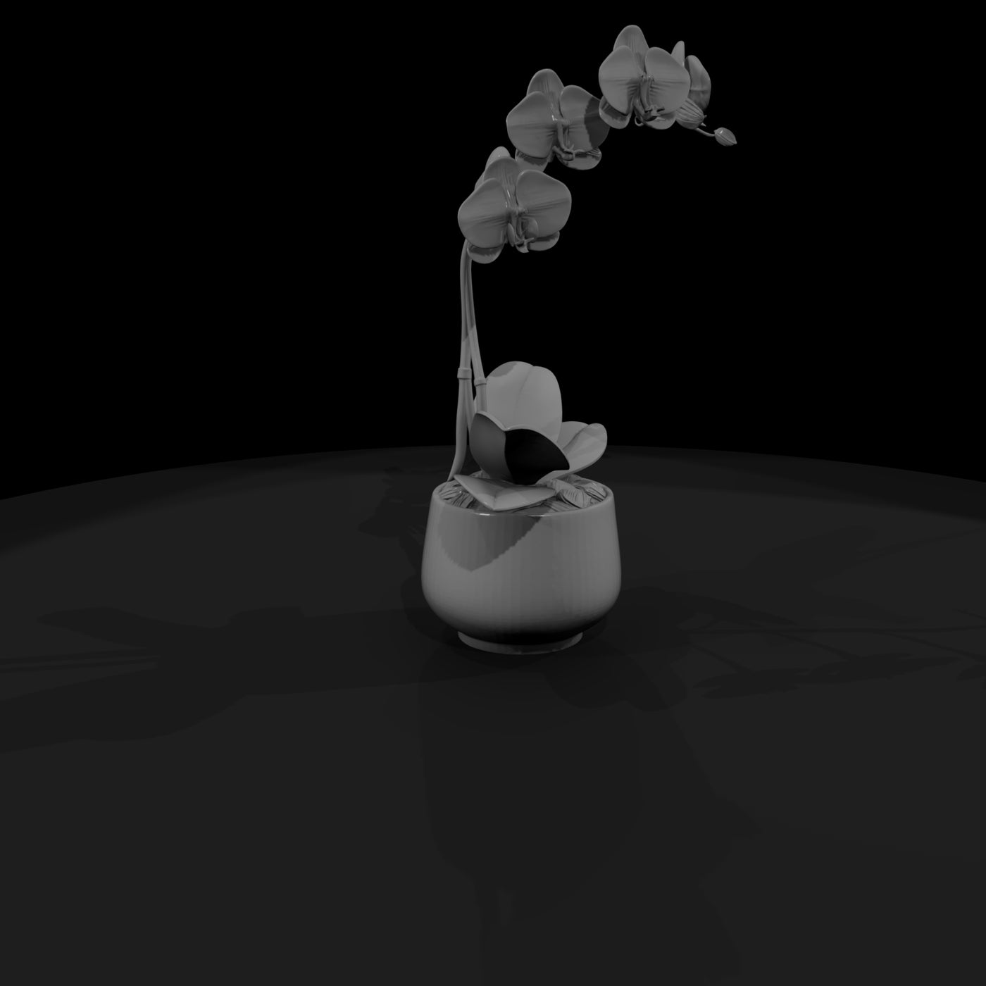 stylized-monochrome-potted-orchid-3d-model-xfzrzzj