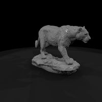 ant-007-leopard-male — thumbnail 3