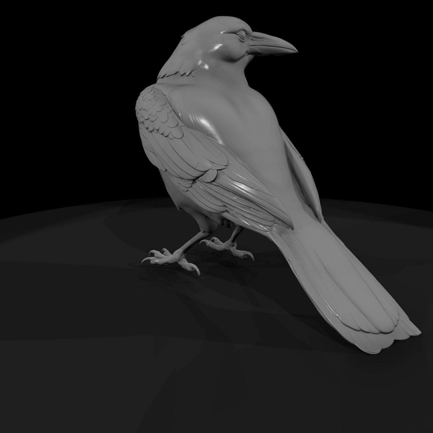 20260612-black-crow-bird-b98ca4224b