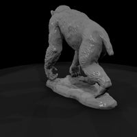 ant-193-chimpanzee-male — thumbnail 3