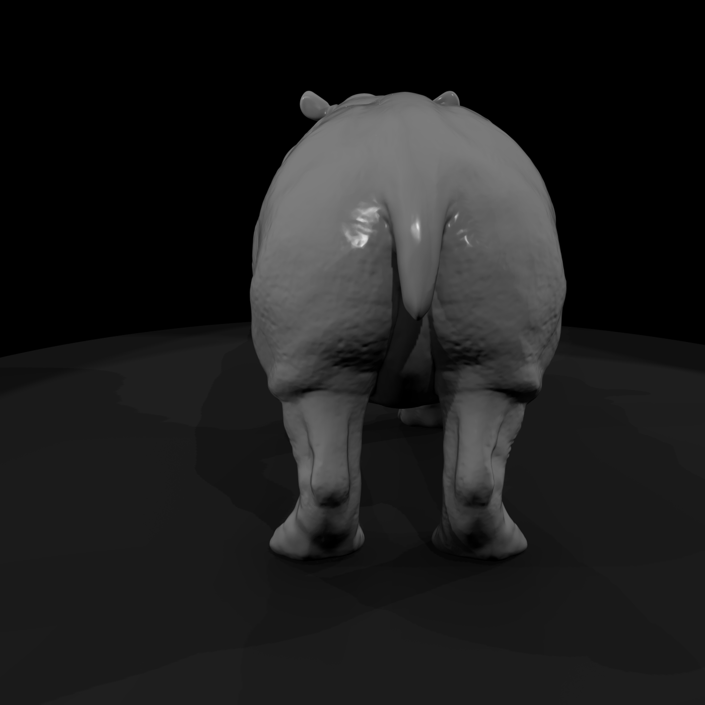 Ant 036 Hippopotamus Adolescent