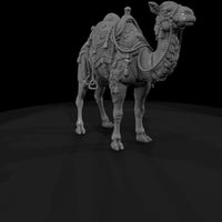 cir-122-animal-circus-camel — thumbnail 3