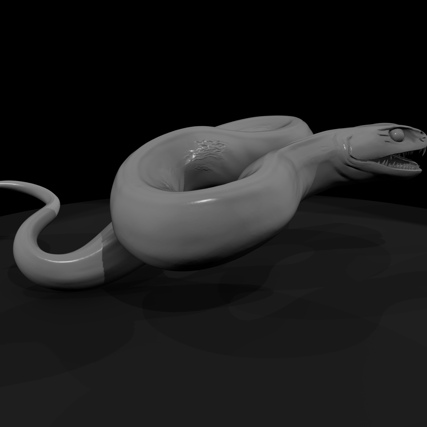 Coiled Fanged Snake Base