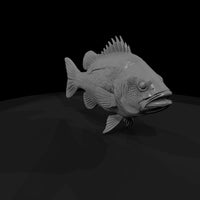 spiny-reef-predator-3d-printable-fish-miniature-852522 — thumbnail 4