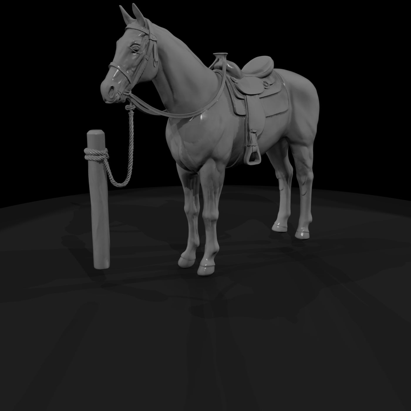 horse-white