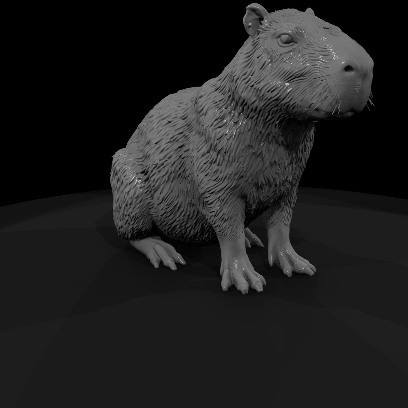 ant-256-capybara-male
