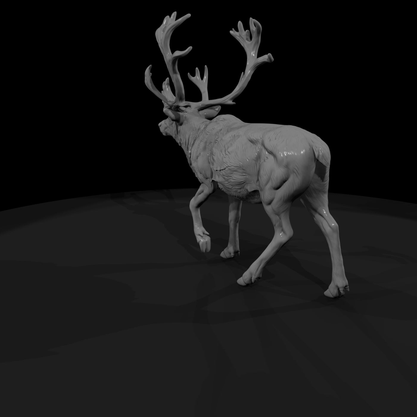 ant-061-caribou-male