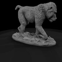 ant-107-mandrill-female — thumbnail 3