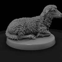 xmas-23-nativity-sheep-0118e8 — thumbnail 4
