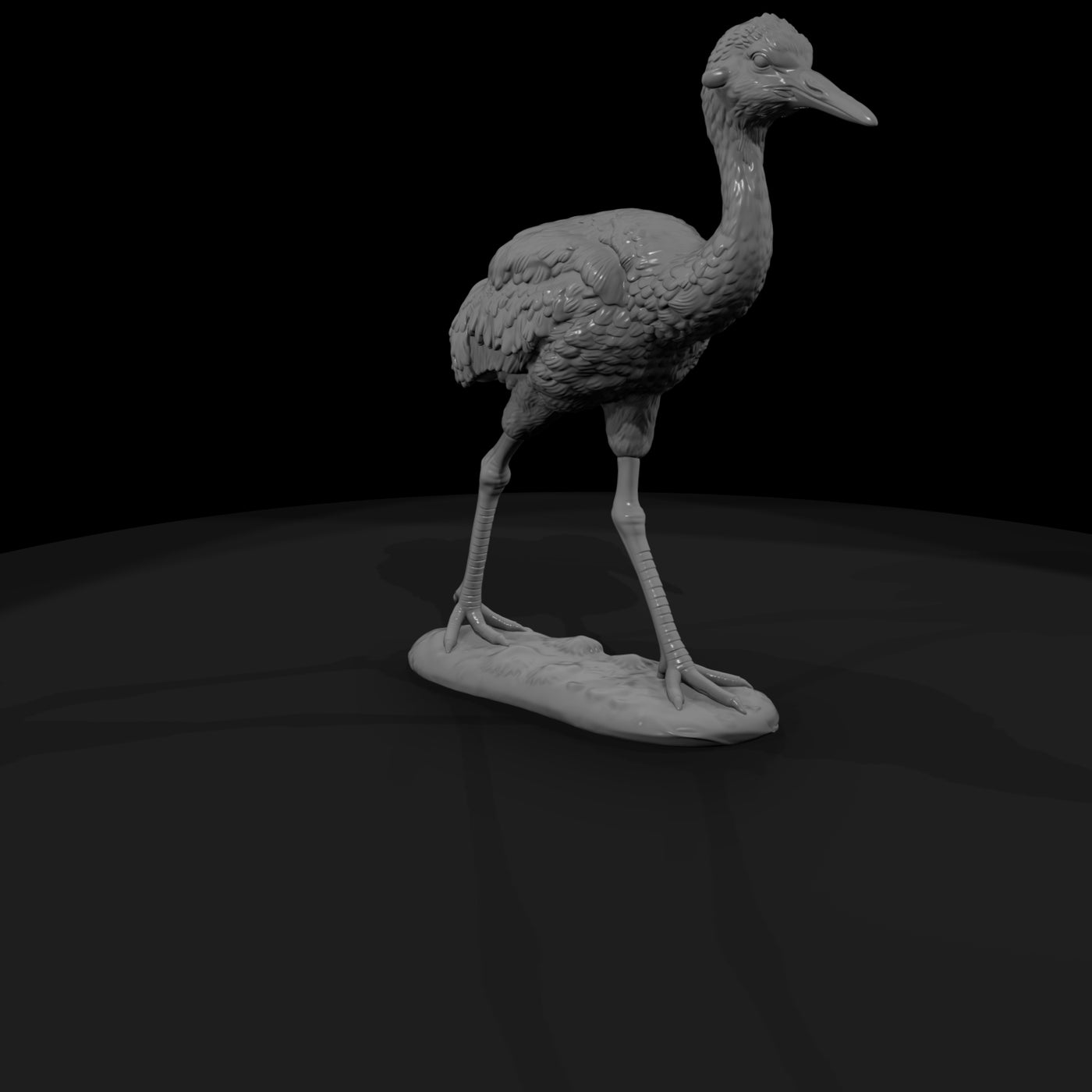 ant-132-sandhill-crane-adolescent