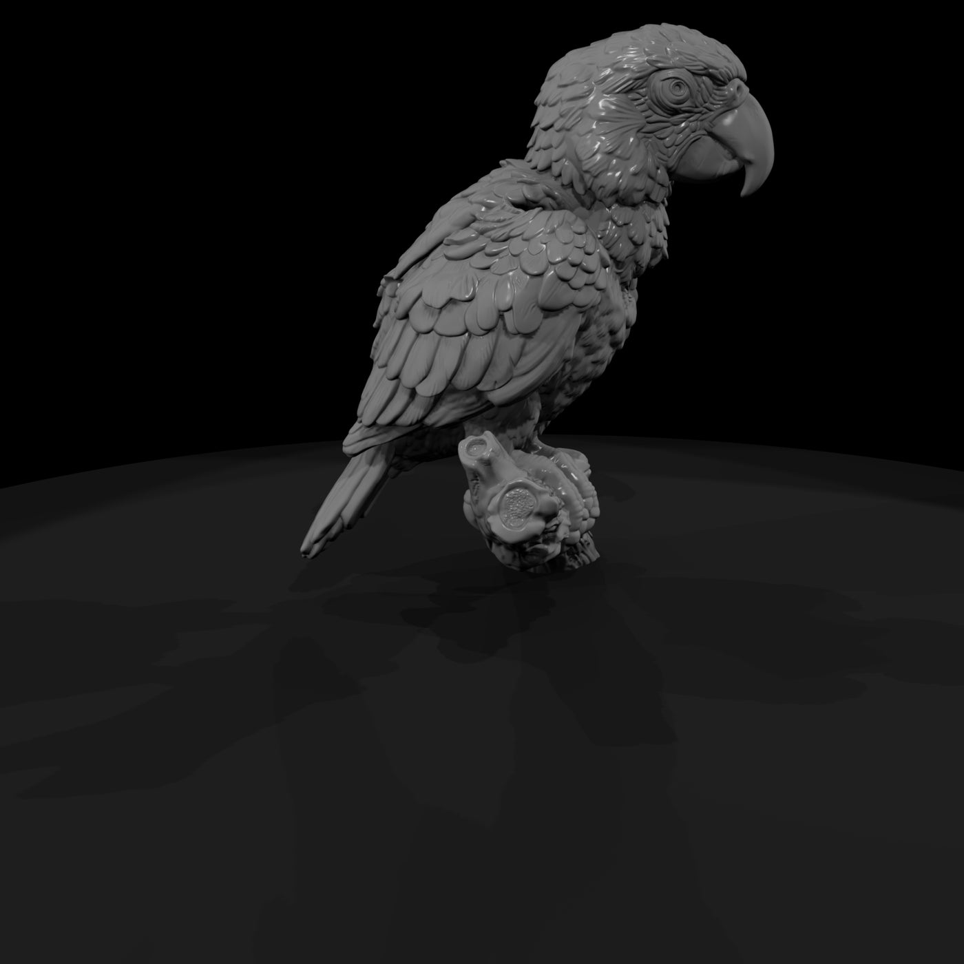 ant-285-scarlet-macaw-adolescent