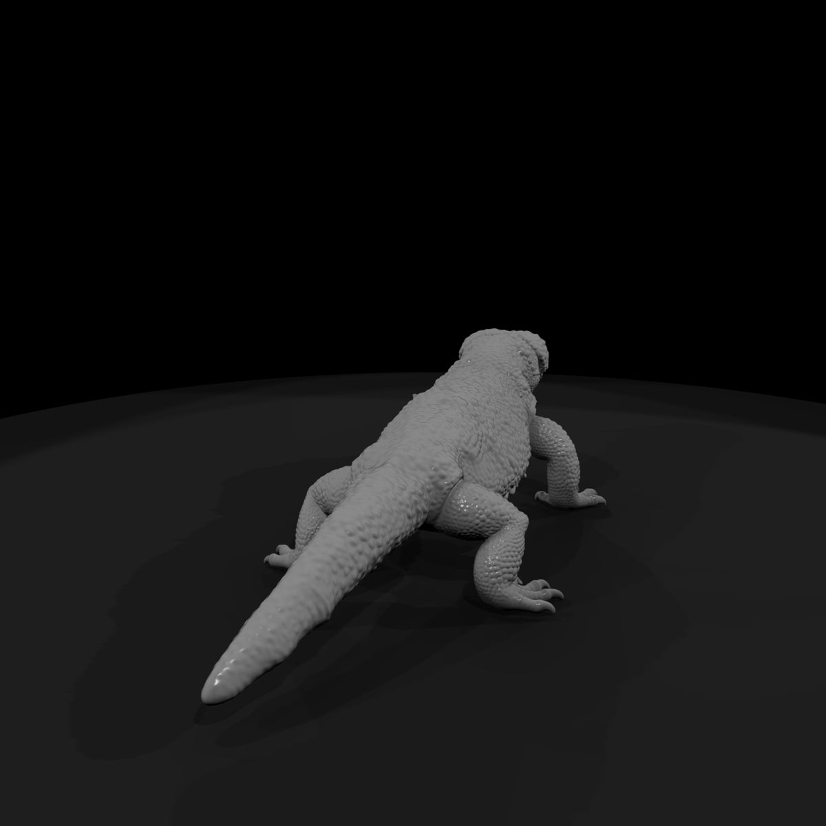 ww-0334-animal-gila-monster