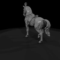 cir-126-animal-prancing-white-horse — thumbnail 3