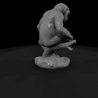 ant-195-chimpanzee-adolescent — thumbnail 3