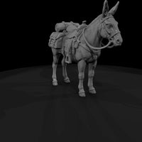 ww-0277-animal-mule — thumbnail 3