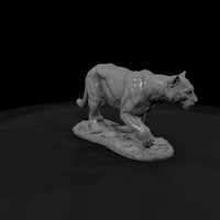 ant-145-cougar-male — thumbnail 3