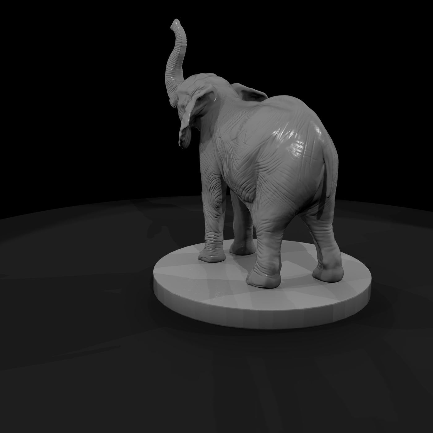 ant-024-african-elephant-adolescent