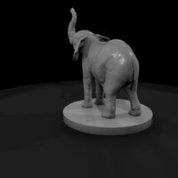 ant-024-african-elephant-adolescent — thumbnail 3