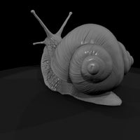 20260612-snail-on-green-leaf-a437ee3019 — thumbnail 3
