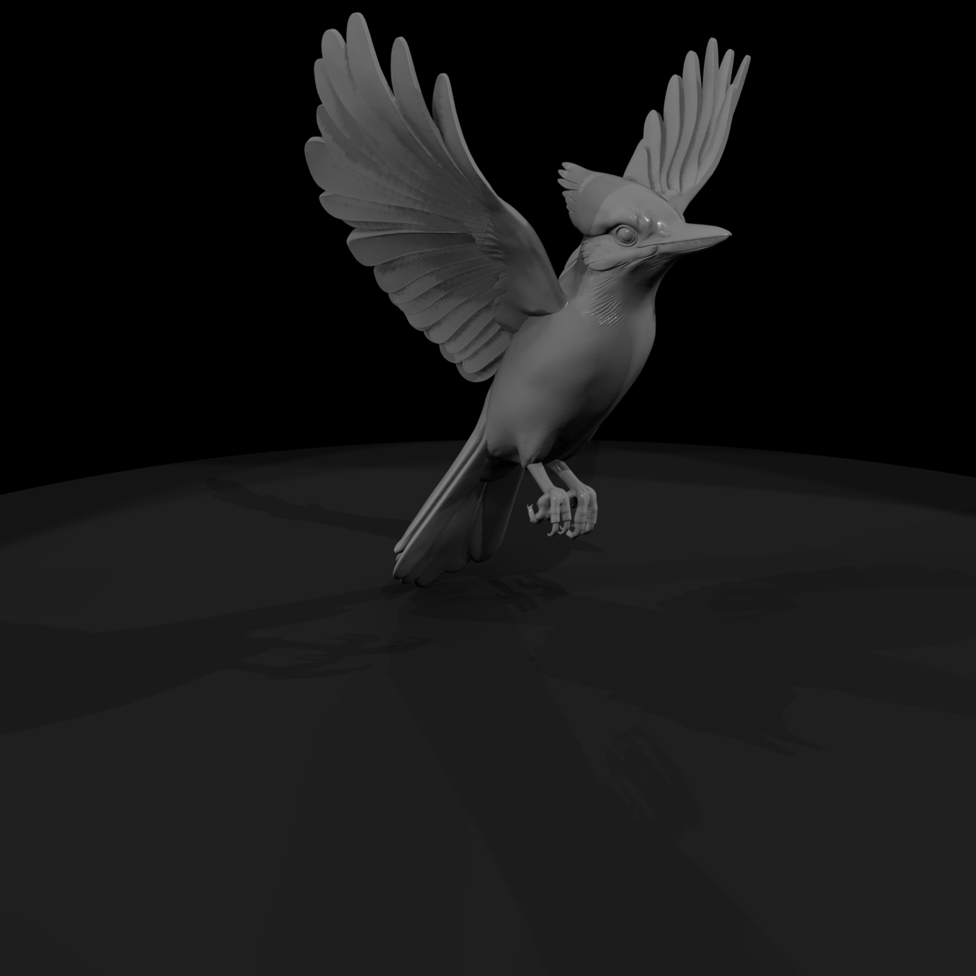 Blue Jay Perched — Bird