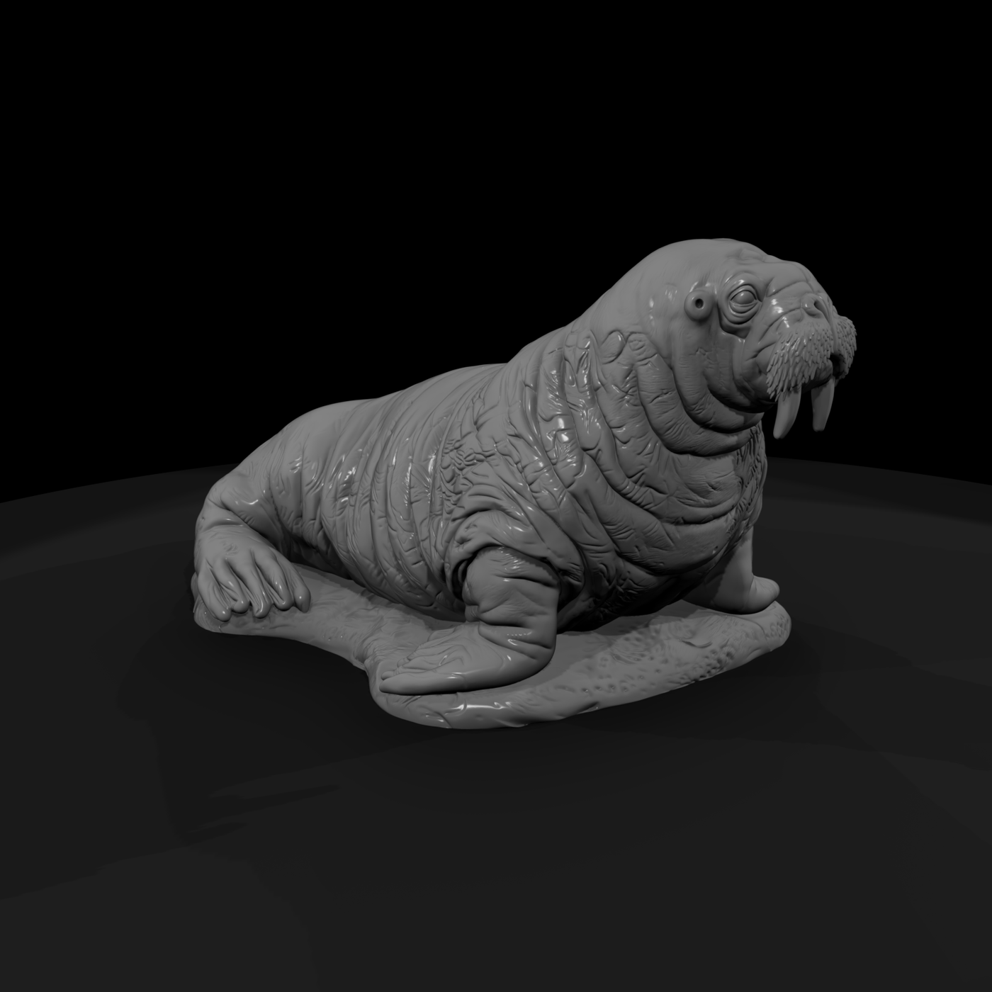 Ant 143 Walrus Female
