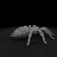 ww-0339-animal-tarantula — thumbnail 3