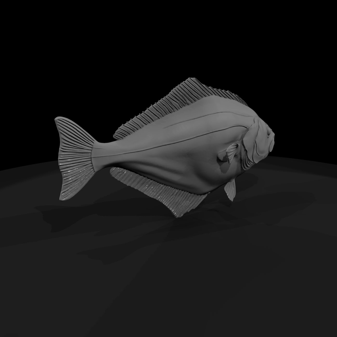 halibut-flatfish-miniature-for-dioramas-displays-346343