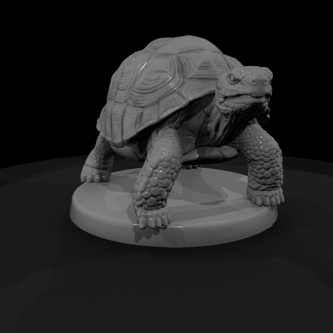 Giant Land Tortoise