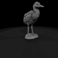ant-291-great-blue-heron-adolescent — thumbnail 3