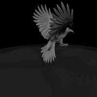 20260612-black-flying-raven-72becd3757 — thumbnail 3