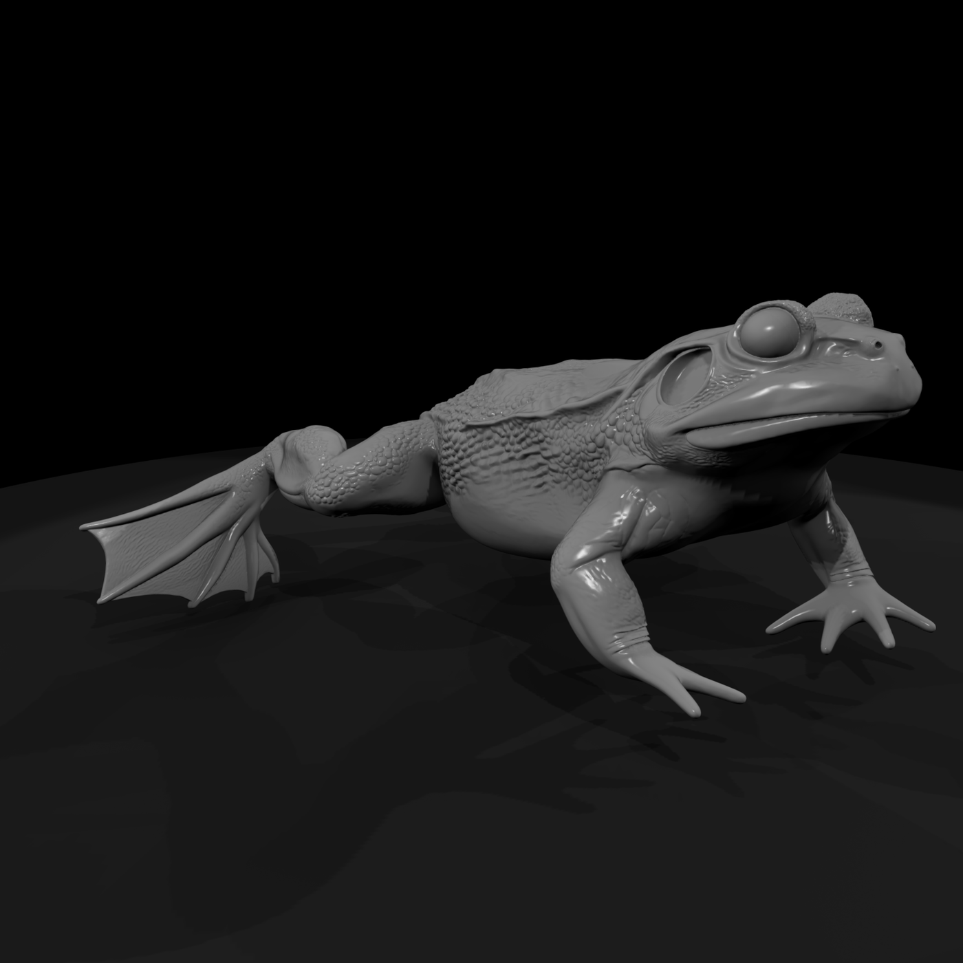 Winged Fantasy Frog