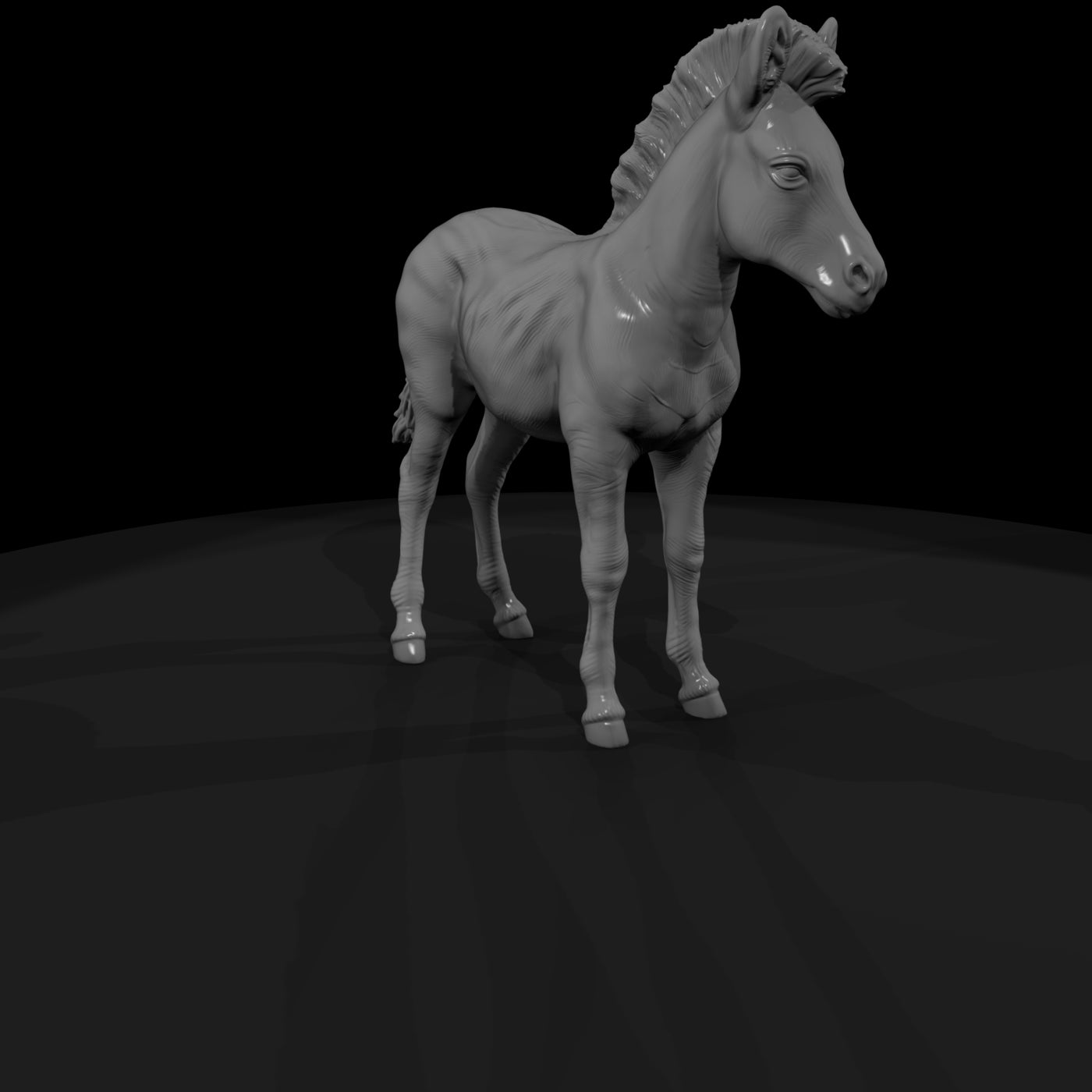 ant-030-plains-zebra-adolescent