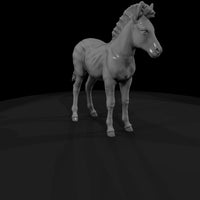 ant-030-plains-zebra-adolescent — thumbnail 3