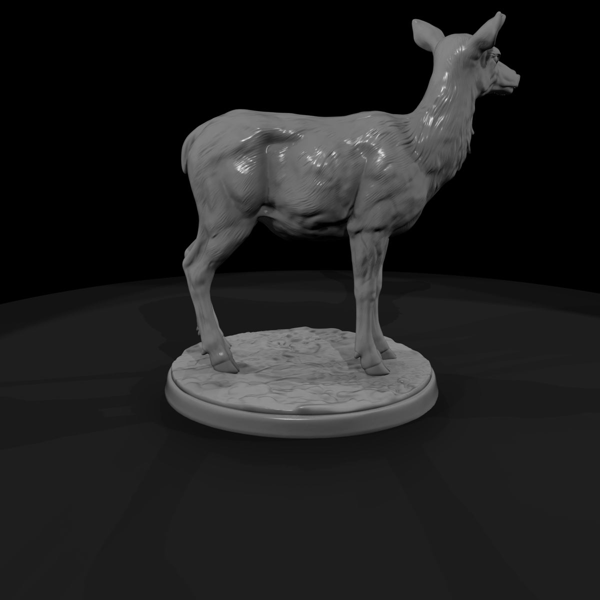 ant-044-elk-female