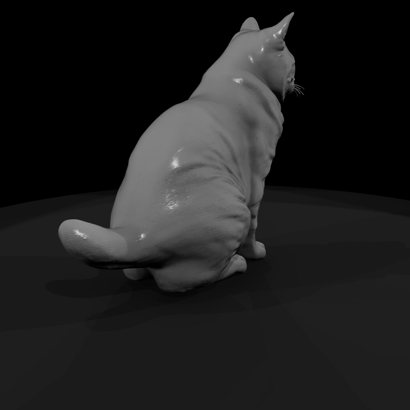 a-collection-of-housecats-manx-ab5ed3df-meshref